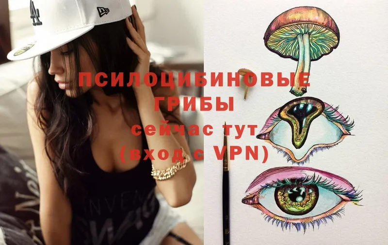 площадка телеграм  Химки  Галлюциногенные грибы Psilocybe  закладки 